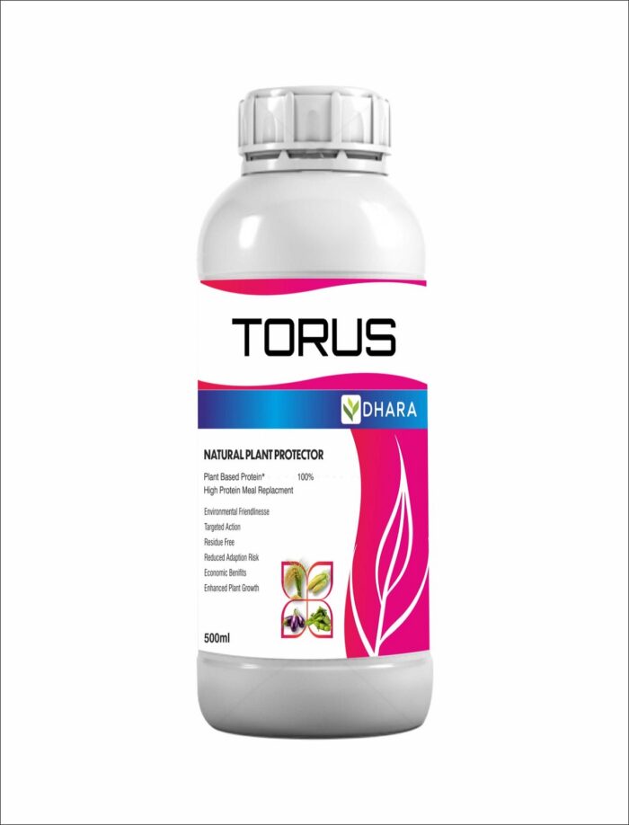 Torus